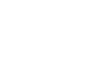 GENZ Digital - - Dixhitalizon biznesin tuaj...